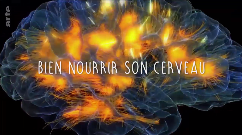 Bien nourrir son cerveau — free download