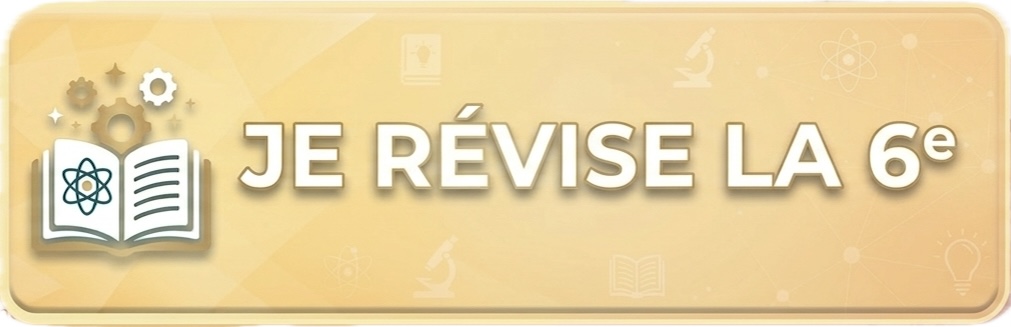 révision 6ème